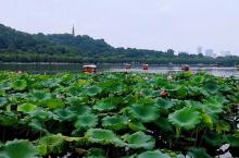 平湖秋月22