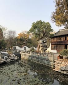 高庄21