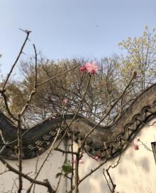 高庄25