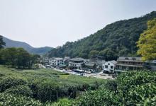 梅家坞22