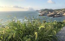 青浜岛7