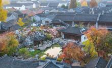 芥子园1