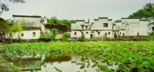 西冲村1