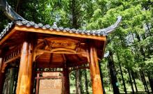 天井山1