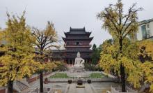 毗卢寺11