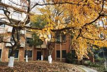 中国科学技术大学26