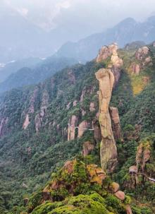 巨蟒出山10