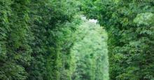 江宁爱情隧道15