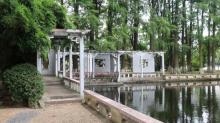 菱湖风景区12