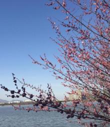 菱湖风景区13