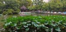 菱湖风景区10