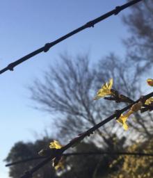 菱湖风景区14