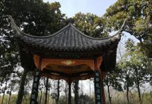 凤城河风景区29