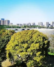 凤城河风景区20