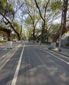 颐和路公馆区22