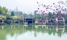 秀里景区7