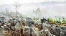 西递石林景区1