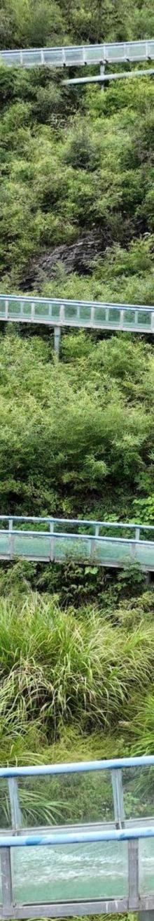 西递石林景区6