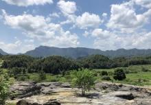 西递石林景区23