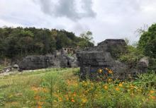 西递石林景区19