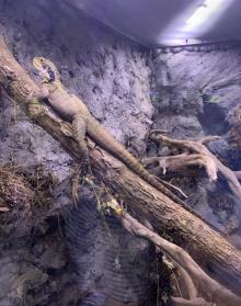 紫金山昆虫博物馆13
