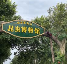 紫金山昆虫博物馆18