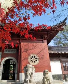 栖霞寺27