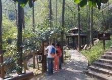 大龙山乌龙溪景区11