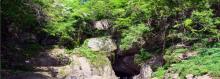 韭山洞9