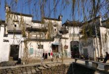 洪村19