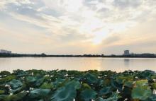 天井湖公园27