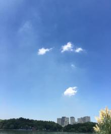 天井湖公园28