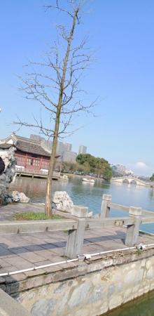 天井湖公园12