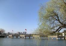 天井湖公园8