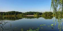 天井湖公园23