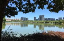 天井湖公园30