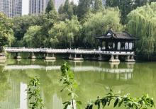 浮庄17