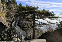 莲花峰13