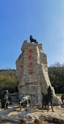 狼巷迷谷16
