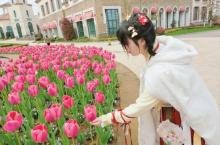 祥源花世界29