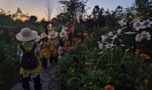 祥源花世界14