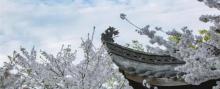 中国非物质文化遗产园11