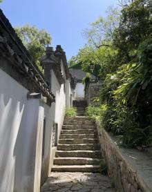 南山16
