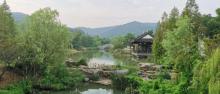 南山29