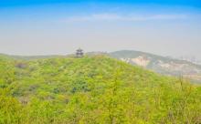 南山12