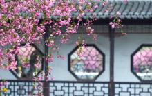 莫愁湖景区1