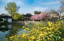 莫愁湖景区5