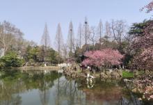 莫愁湖景区29