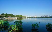 莫愁湖景区12