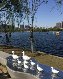 莫愁湖景区24